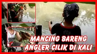 MANCING IKAN BAYONG BARENG ANGLER CILIK