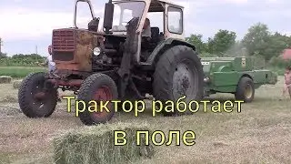 Красный трактор, убираем сено в поле | Дим Дань