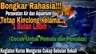 CARA PERAWATAN IKAN MAS KOKI DI AQUARIUM - BAGI PEMULA || CARA MENGURAS AIR AQUARIUM