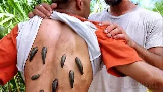 Giant Snakes, Leeches & Spiders: Anaconda 2 Best Scenes