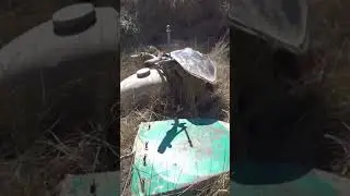 Нашел советский мотоцикл вросший в землю! 
