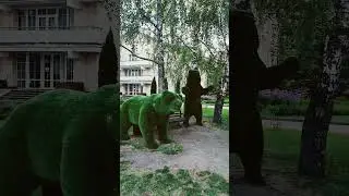 Привэт медвэт часть 2