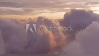 Шарики за ролики.