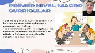 Nicole Pizarro Niveles de planificación curricular (macro, meso y micro) del sistema nacional