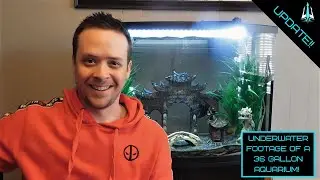 36 Gallon TopFin Aquarium Update and UNDERWATER footage!