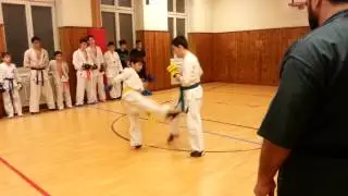 киокушинкай  клуб кемпо из австрии спаринг на тренеровке
