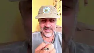 הי אתה שם - עזתי מטומטם!!!