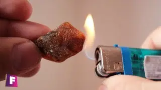 How to Detect FAKE AMBER With These 4 EASY EXPERIMENTS ✔️