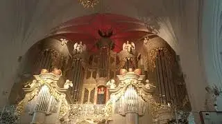 Концерт органной музыки, в Соборе Калининграда