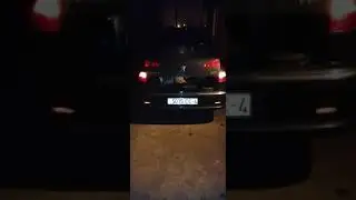 Аммортизаторы электро крышки багажника пежо 607