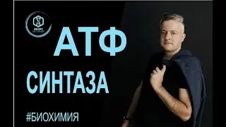 Biochemistry: ATP synthase