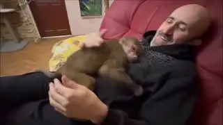 Тайган.Эхо любви.Тизер (Шура.Суперстар)