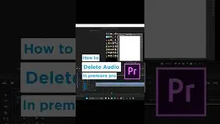 Delete Audio in Premiere Pro 