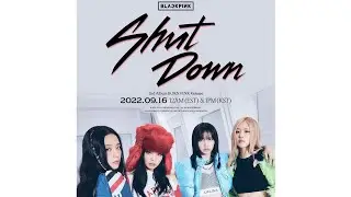 BLACKPINK - "Shut Down" (clean instrumental) [4K]