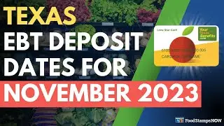 Texas Food Stamp Deposit Dates for November 2023