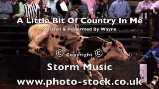 A Little Bit Of Country In Me by Wayne