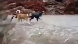 Теперь они знают, каково это