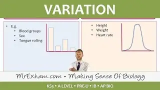 Variation -  Post 16 Biology (A Level, Pre-U, IB, AP Bio)
