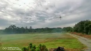 Trex 700n DFC multigov pro test
