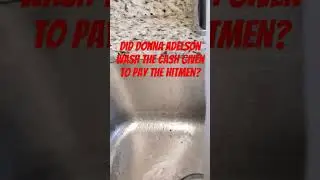 Did Donna Adelson wash the cash that Katie Magbanua Distributed?