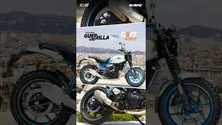 CEAT STEEL RAD tyres on the Royal Enfield Guerrilla 450—ultimate grip on any terrain!