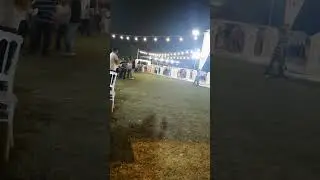 Kürt Düğünü ❤️Kurdish Wedding 😍