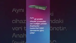 Routing vs Switching