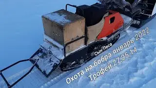 Охота на бобра январь 2022 Трофей 27, 25, 14 кг