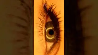 Why Bright Lights Elude Our Vision #glitchinthematrix #shorts