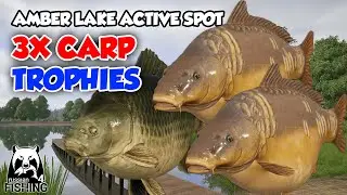 Another Carp Trophies From Amber Lake [January 8th, 2023] - Russian Fishing 4 Indonesia