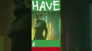 Have a nice cat