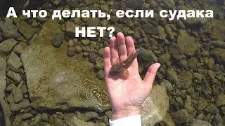 Рыбалка на Джиг с Берега | vovabeer