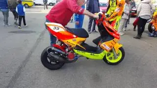 Trofeo Malossi 94cc  (aereox-zip-phantom )by EnryGarage!