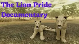 Wild savannah lion pack in action
