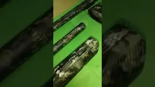 Аквапринт Бенелли винчи.