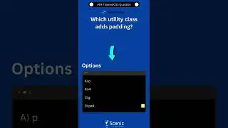 #04 TailwindCSS Interview Question 