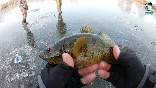 Ротан.  Открытие сезона твёрдой воды