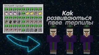 АНАРХИЯ - КАК МЫ РОЗВИВАЕМСЯ ТОП 1 КЛАН | MST NETWORK
