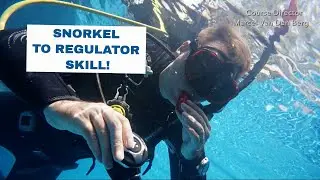 Snorkel to Regulator Exchange - PADI Open Water Diver Course • Scuba Diving Tips