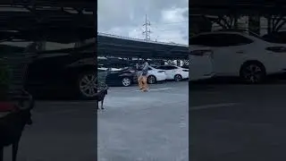 😅 когда легализовали 🌱