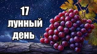 17 ЛУННЫЙ ДЕНЬ