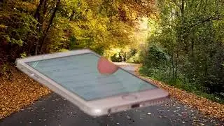 Просто листание телефона на фоне леса