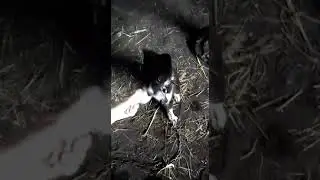 WhatsApp Video 2021 12 18 at 22 28 48