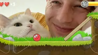 Грустная пасхалка  в игре Red Ball 4