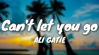 Ali Gatie - Can’t Let You Go (Lyrics)