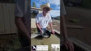 How to Pan for Gold