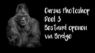 Cursus Photoshop 3.0 Bestand openen via Bridge