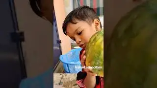 nephew (son)