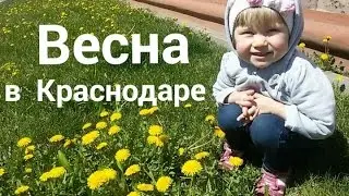 Весна в Краснодаре. Гуляем. Василиса катается  на самокате. Видео для детей.Красивое видео.