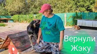 Возвращение Жэки и привет от Джима и такс